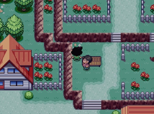 你跟我说这是《宝可梦》同人游戏？